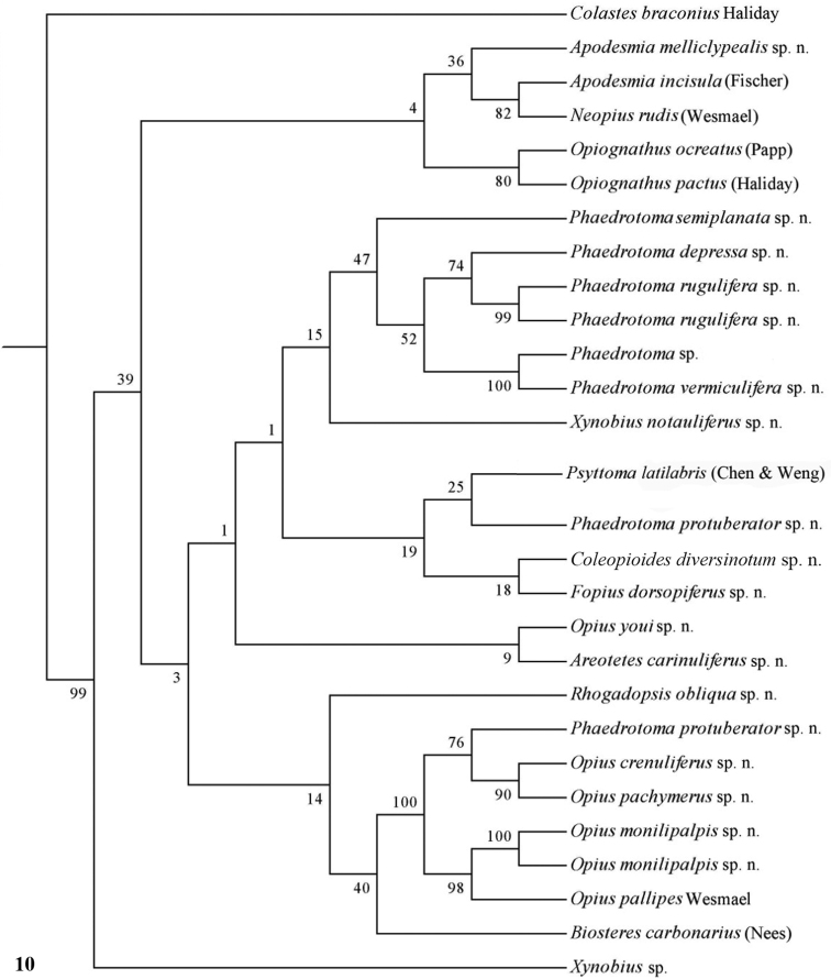 Figure 10.