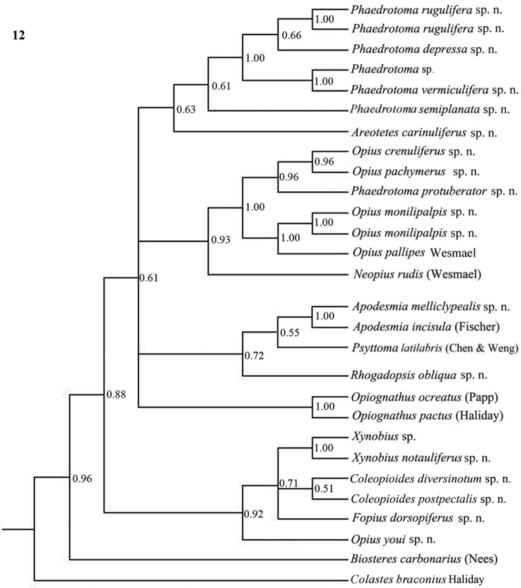 Figure 12.