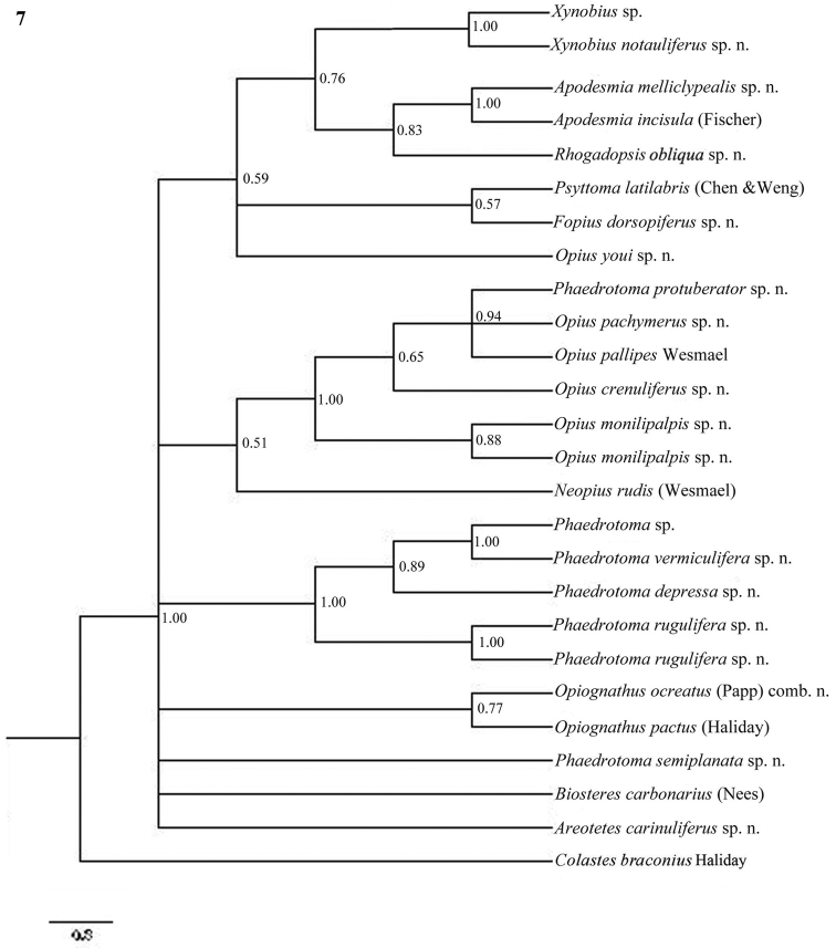 Figure 7.