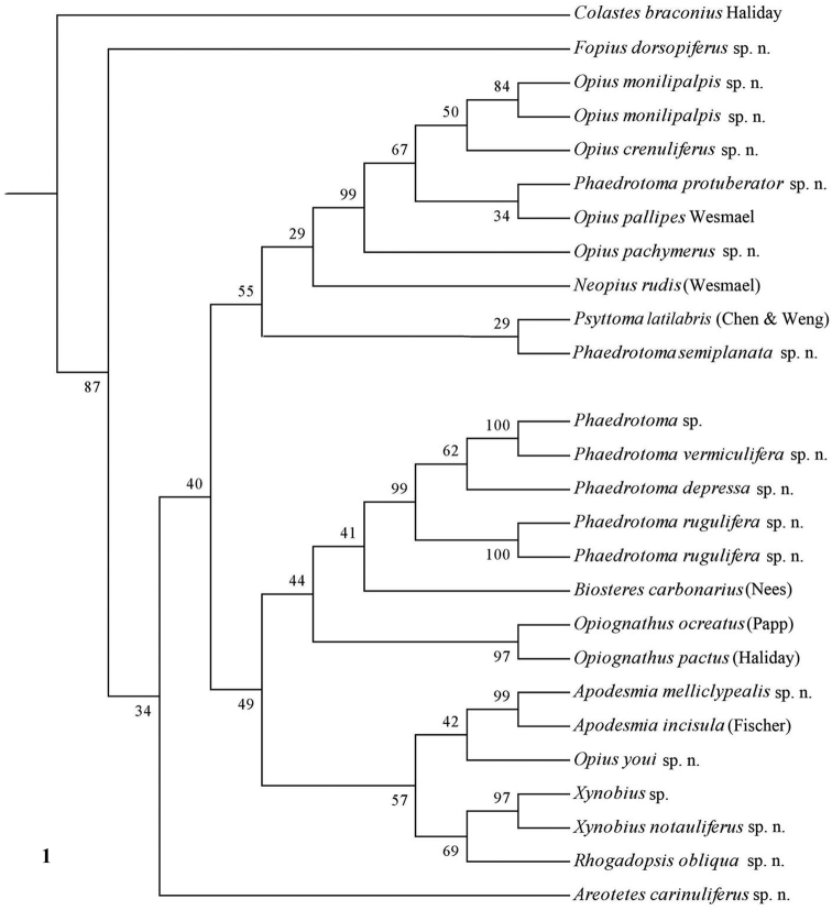 Figure 1.