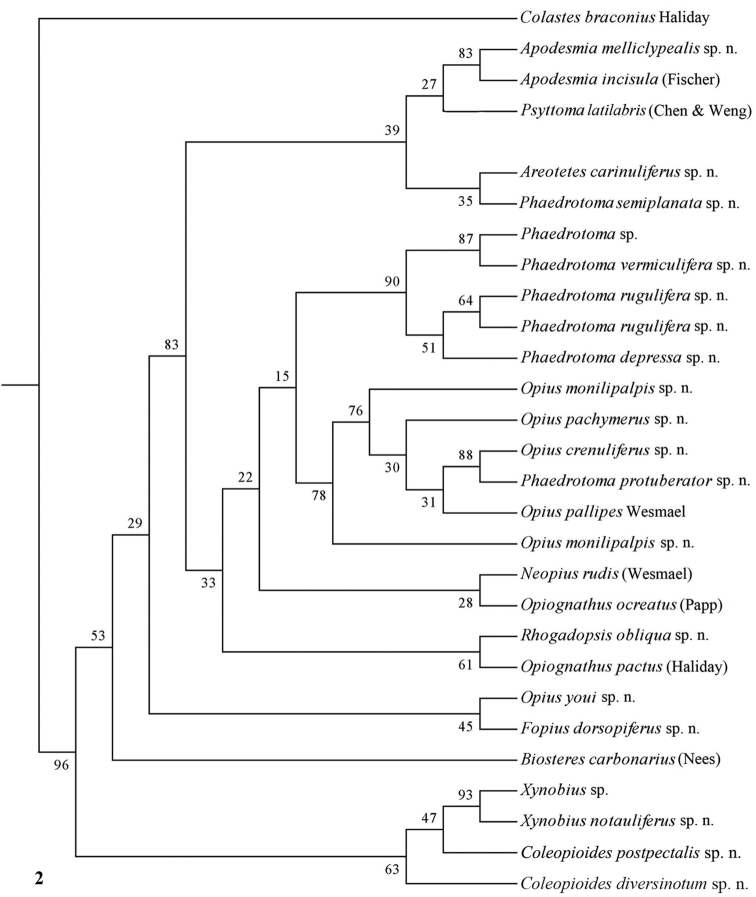 Figure 2.