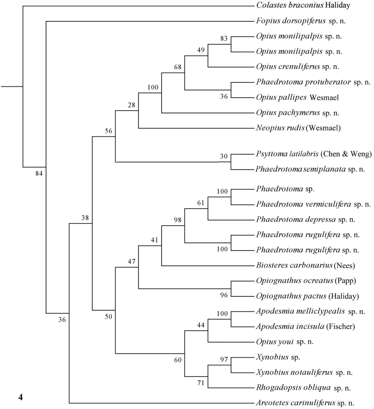 Figure 4.