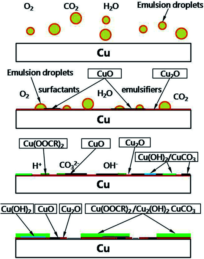Fig. 12