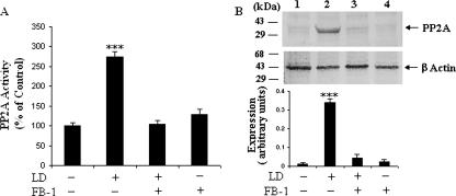 FIG. 6.