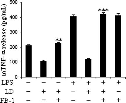 FIG. 8.