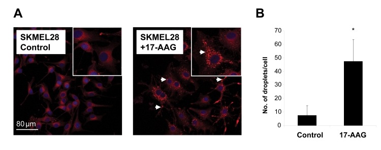 Fig. 4: