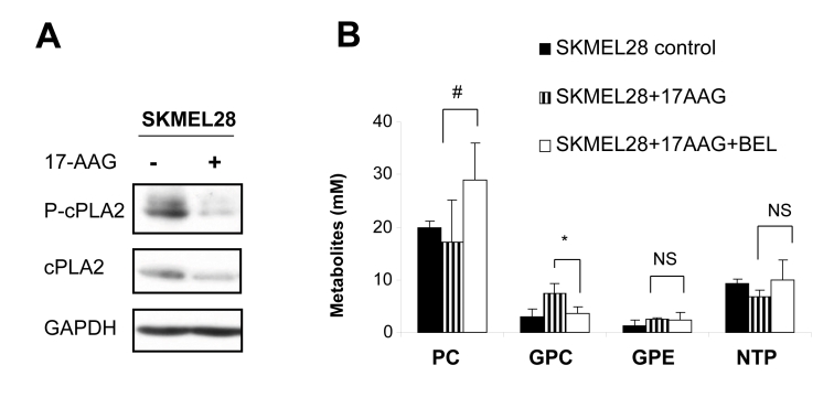 Fig. 5: