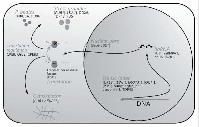 FIGURE 1.