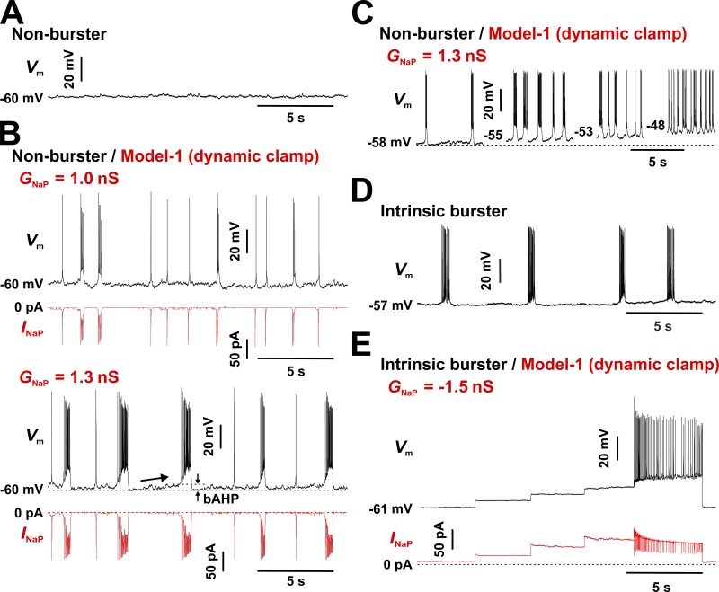 Figure 6.