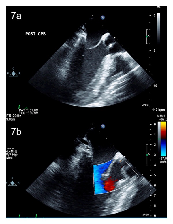 Figure 7