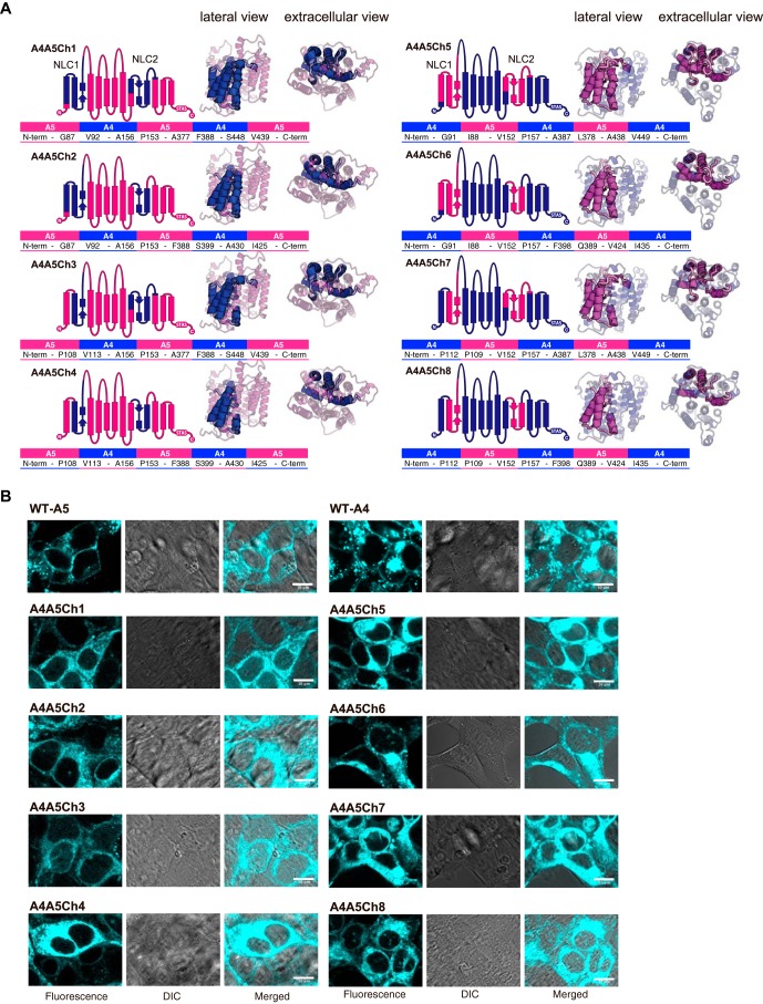 Figure 6.