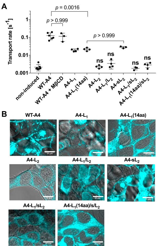 Figure 4.