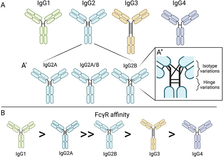 Figure 3: