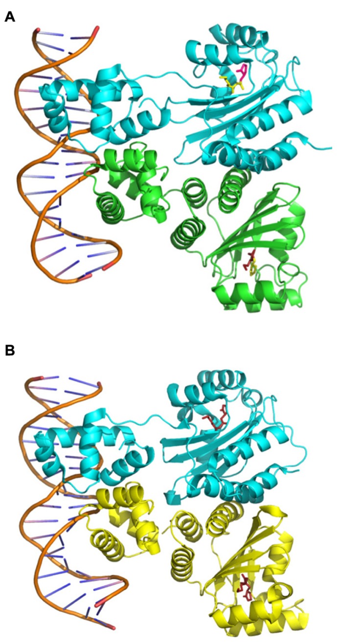 FIGURE 3