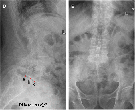 Fig. 3