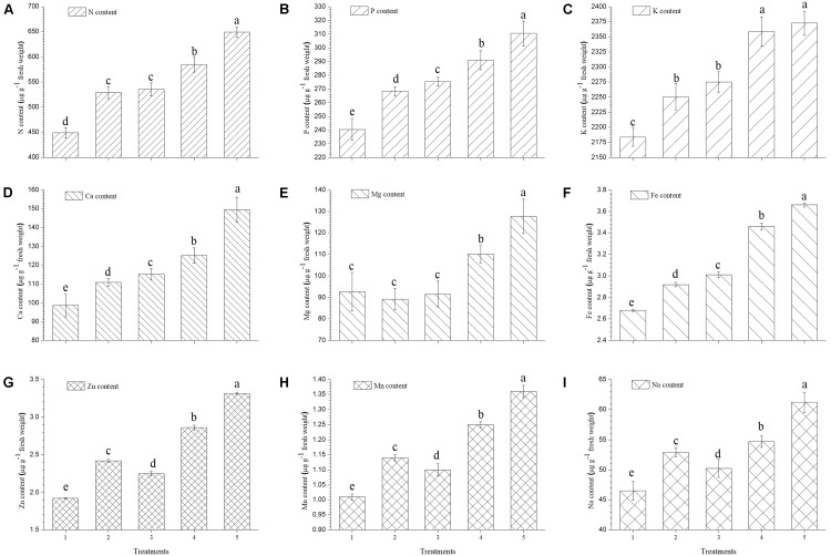 FIGURE 4