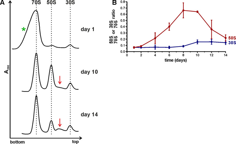 FIG 2