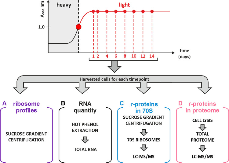 FIG 1