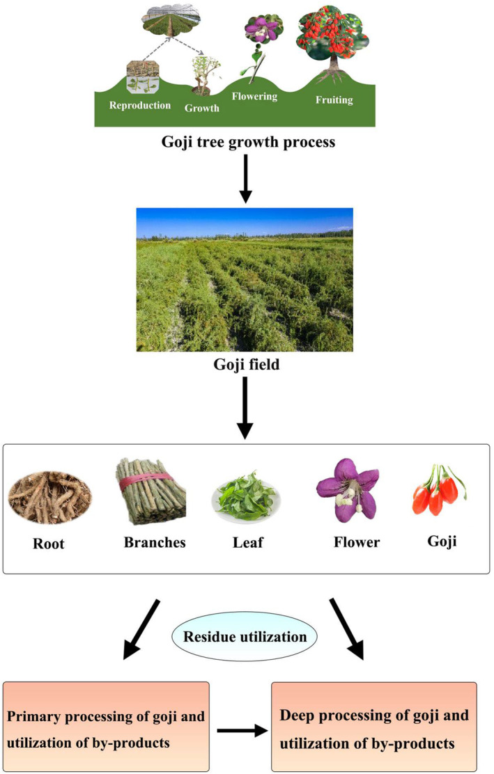 FIGURE 1