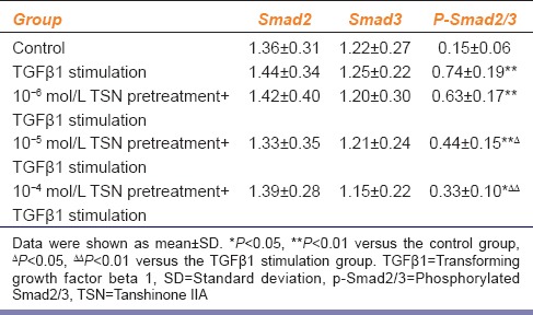 graphic file with name IJPharm-46-633-g007.jpg