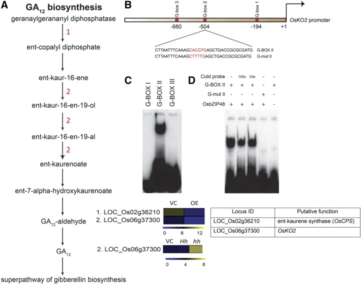 Figure 10.