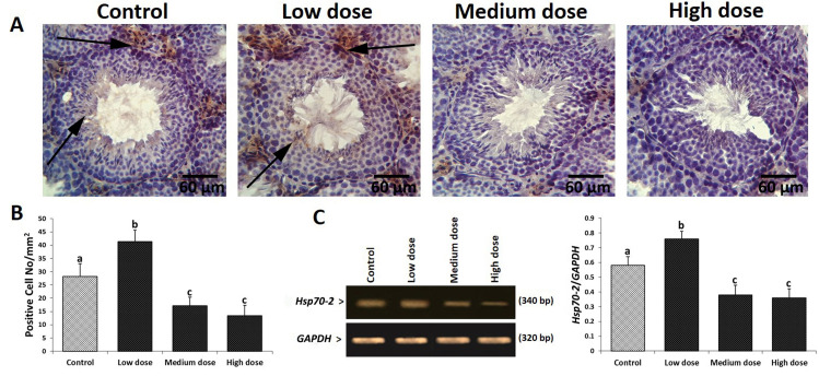 Fig.4