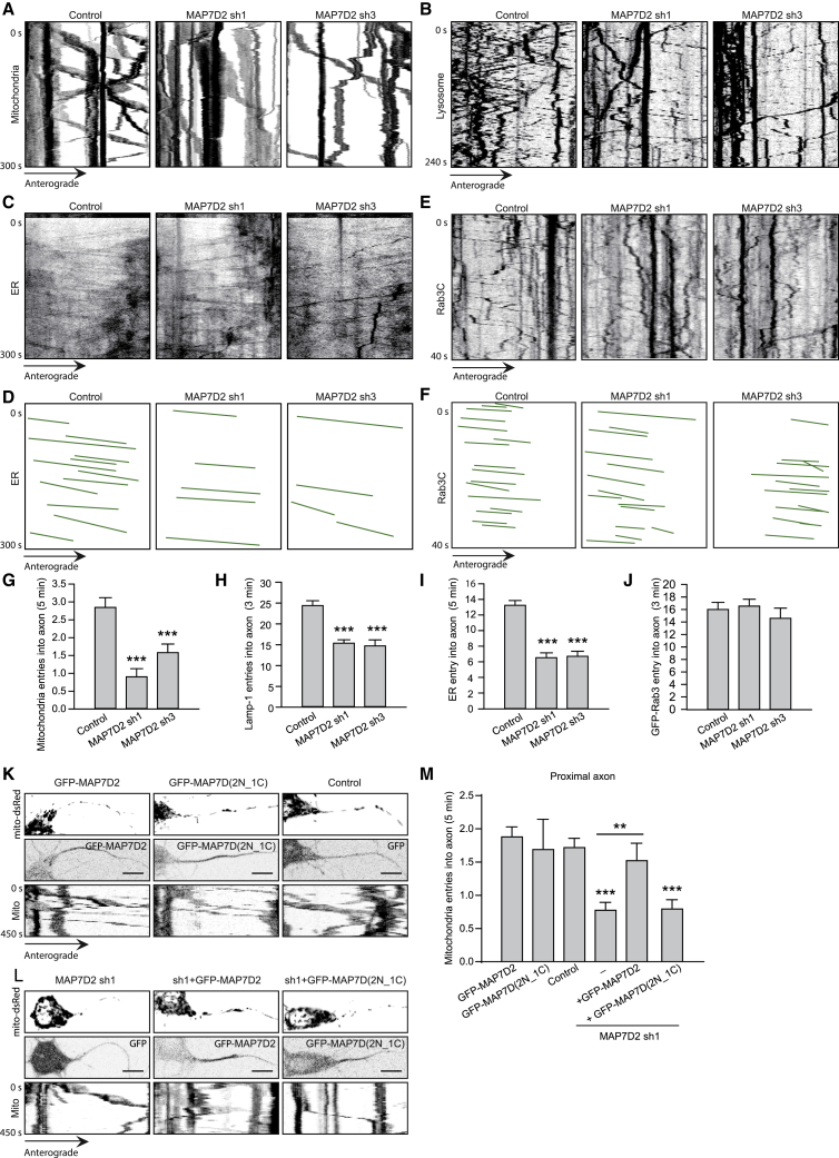 Figure 5