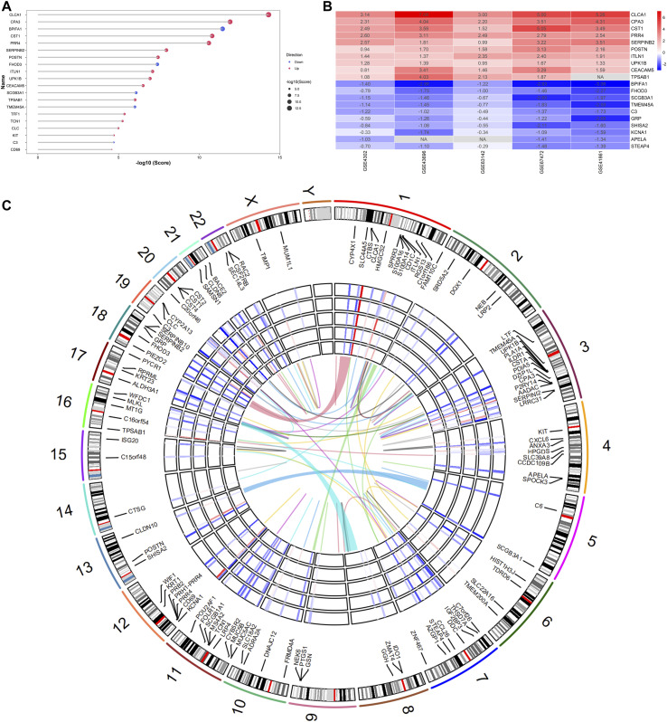 FIGURE 3