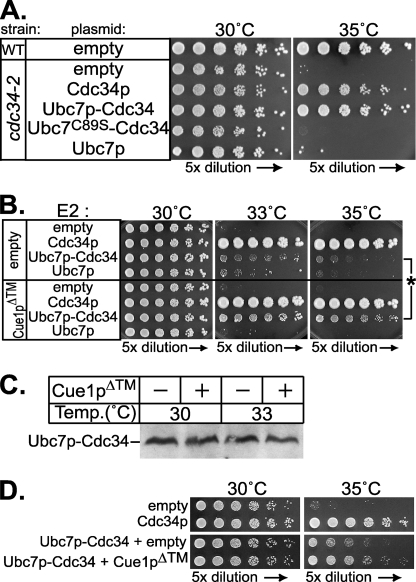 FIGURE 10.