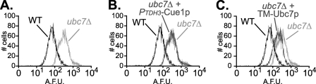 FIGURE 7.