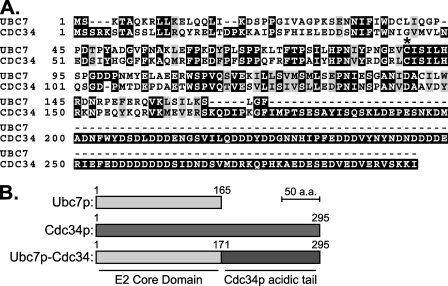 FIGURE 9.