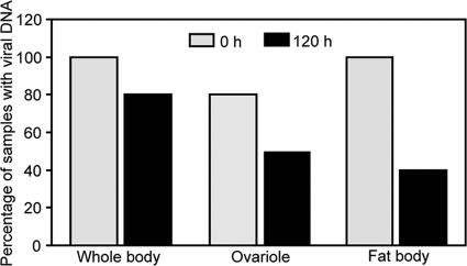 FIG. 7.