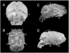 Fig. 2
