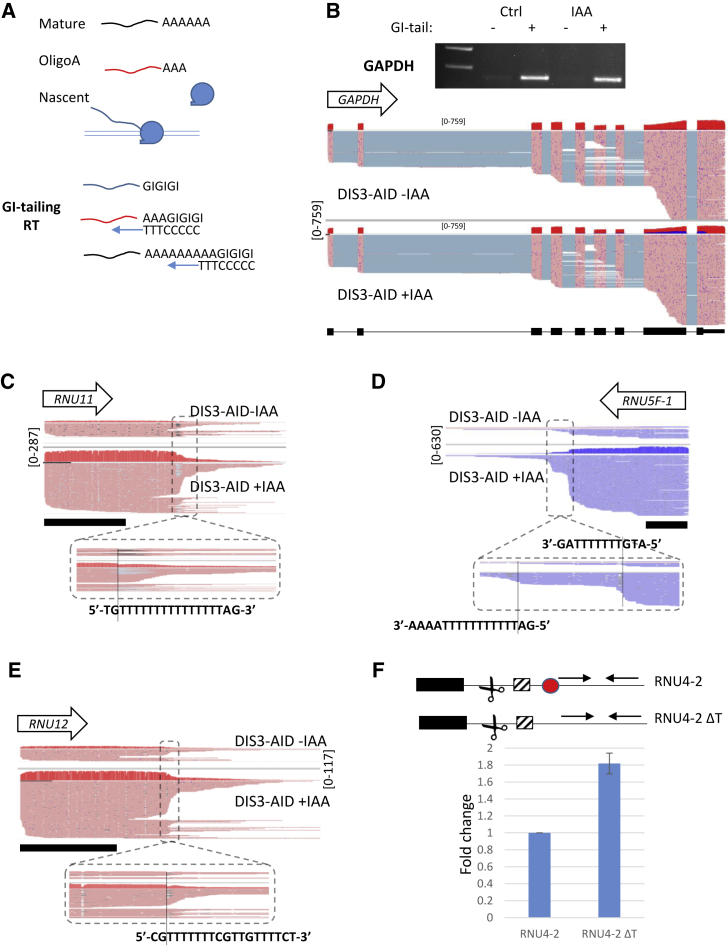 Figure 4