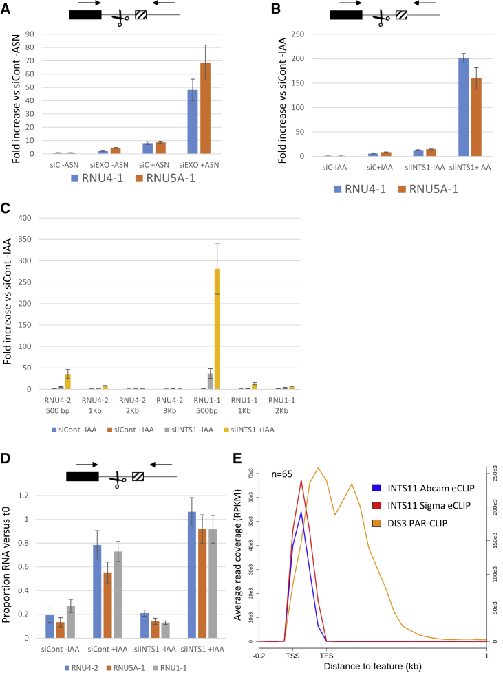 Figure 2