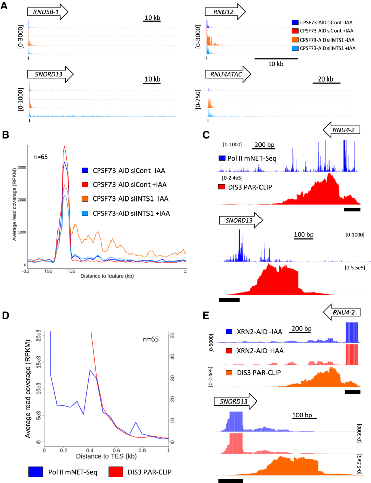 Figure 3