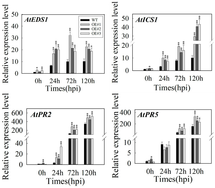 Figure 4