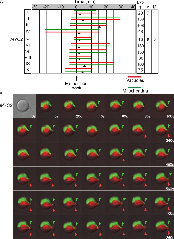 Figure 3.