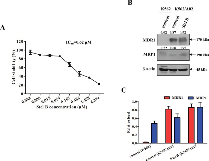 Figure 10