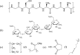 Figure 13.