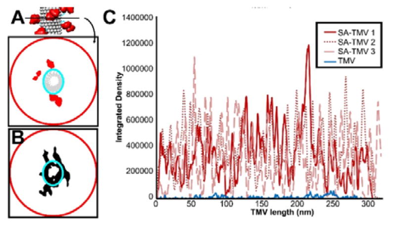 Fig. 6