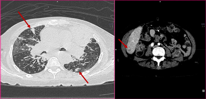 Fig. 8