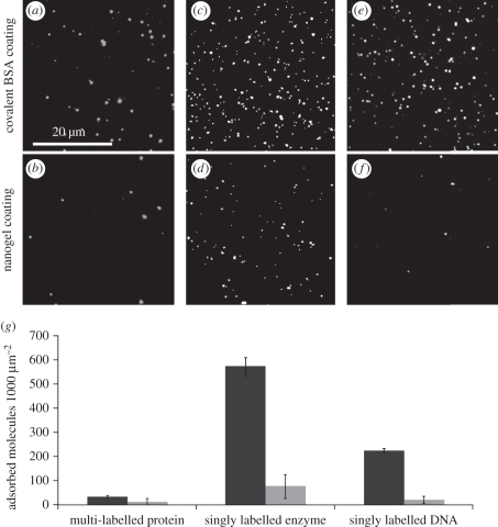 Figure 2.