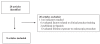 Figure 1)