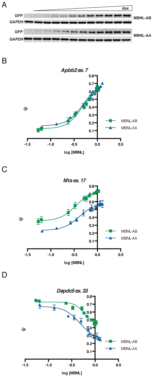 Figure 4.