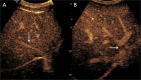Figure 9.
