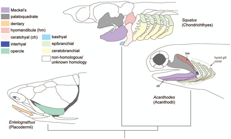 Figure 5: