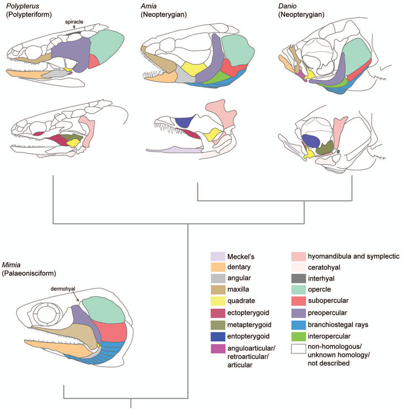 Figure 6: