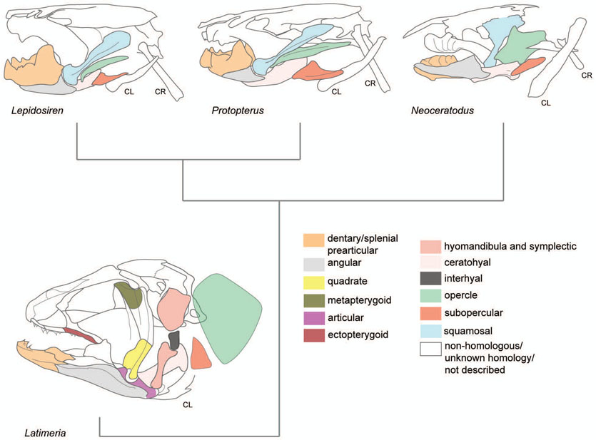 Figure 7: