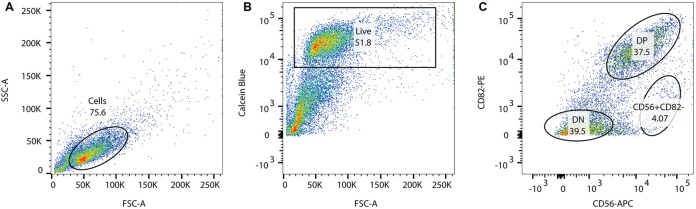 Figure 1.